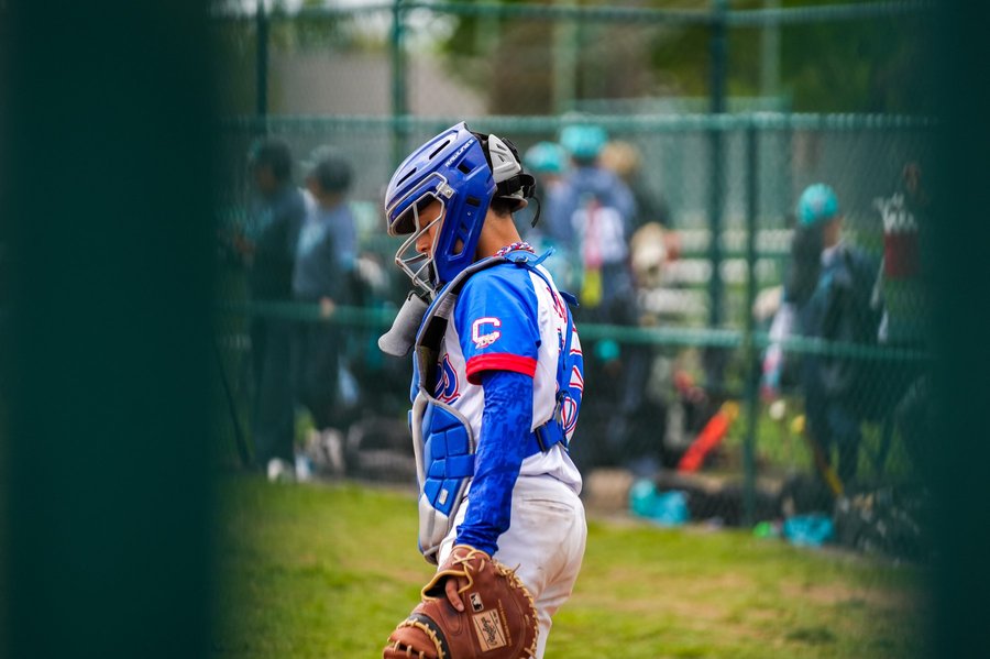 Through the Fence