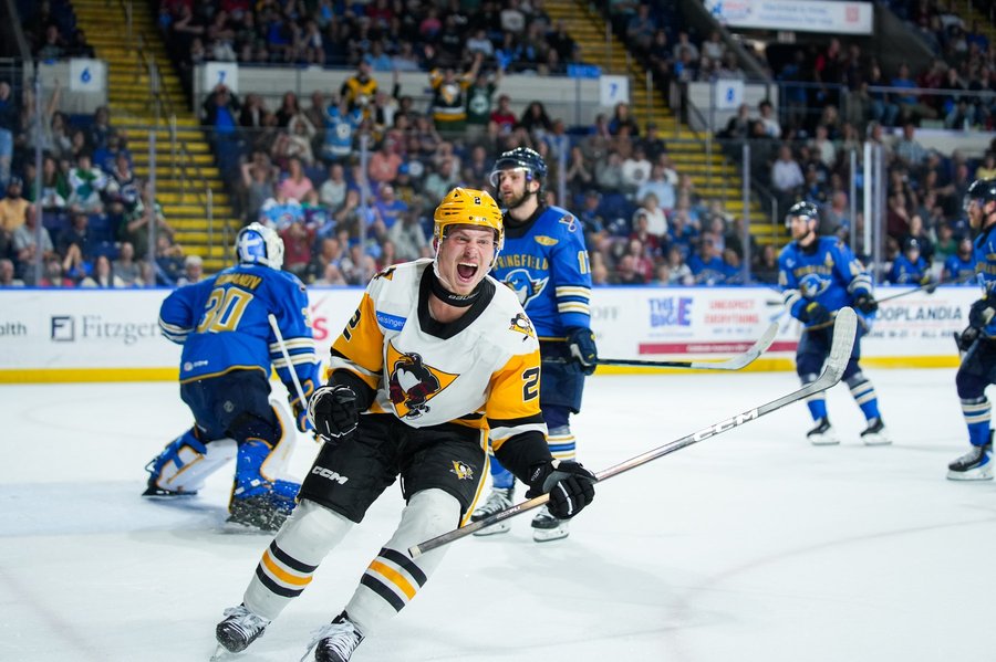 AHL hockey player celebrating a goal at the MassMutual Center in Springfield, MA