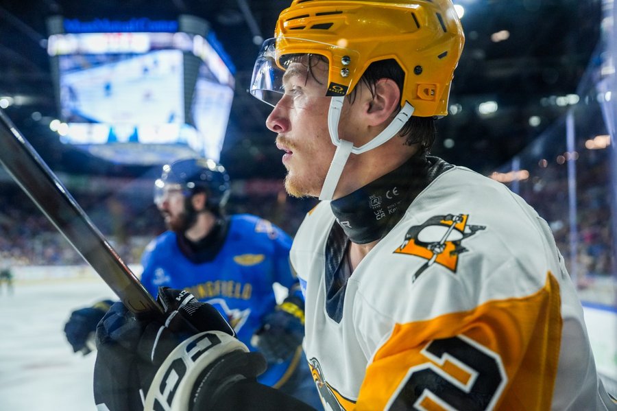 Hockey player battling along the boards at the MassMutual Center in Springfield, Massachusetts
